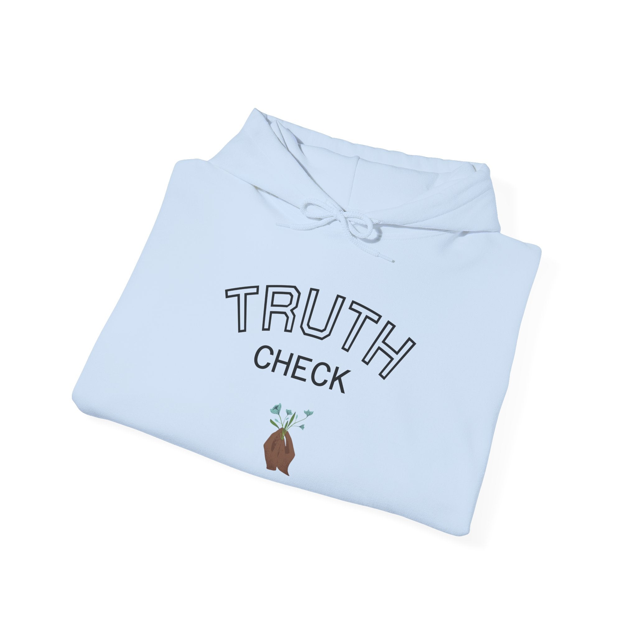 Hooded Sweatshirt - Lake of Fire Kingdom Bible Misconceptions